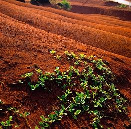 《堡垒：猎鹰战纪》大改版获好评 开启五折促销活动